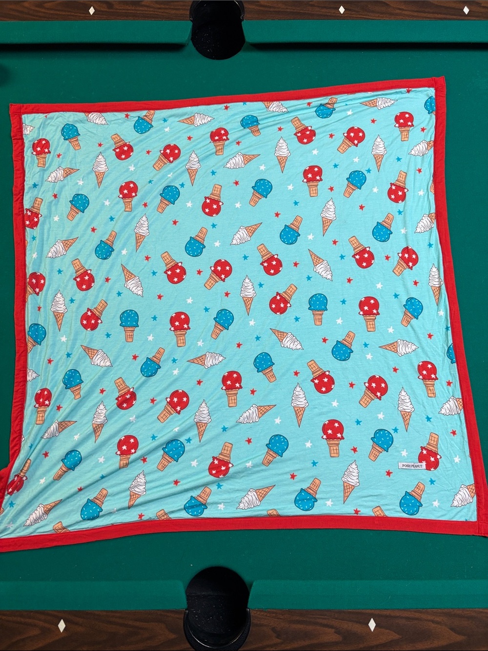 Kids Ice Cream Print Blanket - Red Trim, Turquoise Background